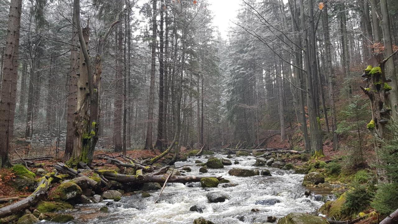Villa Leika - Panoramablick am Riesengebirge Myslakowice Bagian luar foto